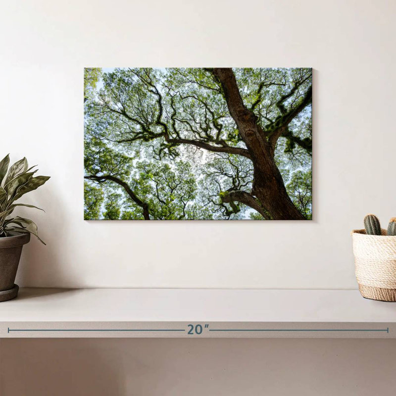 Harnek Rustic Tree, 8" H x 12" W