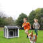 Outdoor Dog House With Multiple Features For Medium-Sized Pets