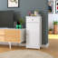 Bathroom Cabinet