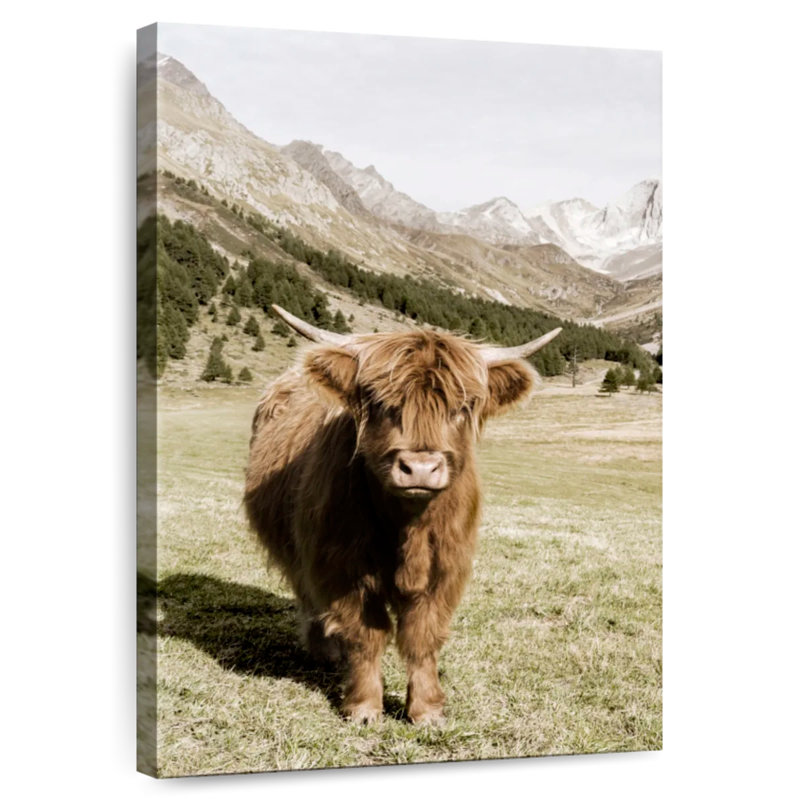 Brampt Oetztal Alps, 39" H x 26" W