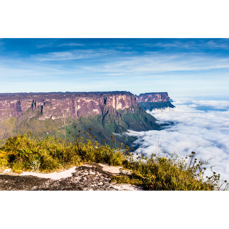 Cloverdales " View From The Plateau Roraima To Gran Sabana Region " by Mariusz_Prusaczyk, 8" H x 12" W x 1.25" D