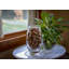 Radiant Vase-538380889