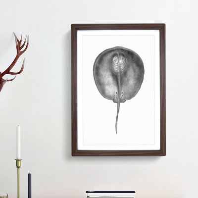 Stingray Illustration - Framed Print