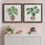 Boho Greenery I - ensemble de 2 peintures sur toile encadrées-1793192159-1793192158
