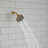 Fixed Shower Head 1.75 GPM-66970106
