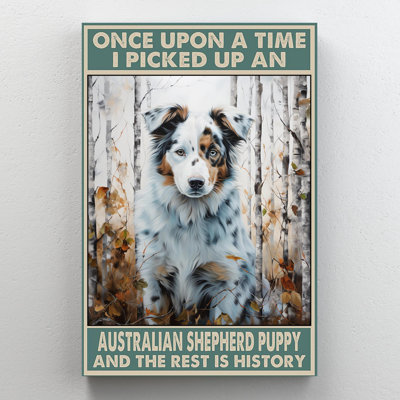 I Picked Up An Australian Shepherd