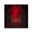 « infinie passion », reproduction de photo sur toile tendue-31354997