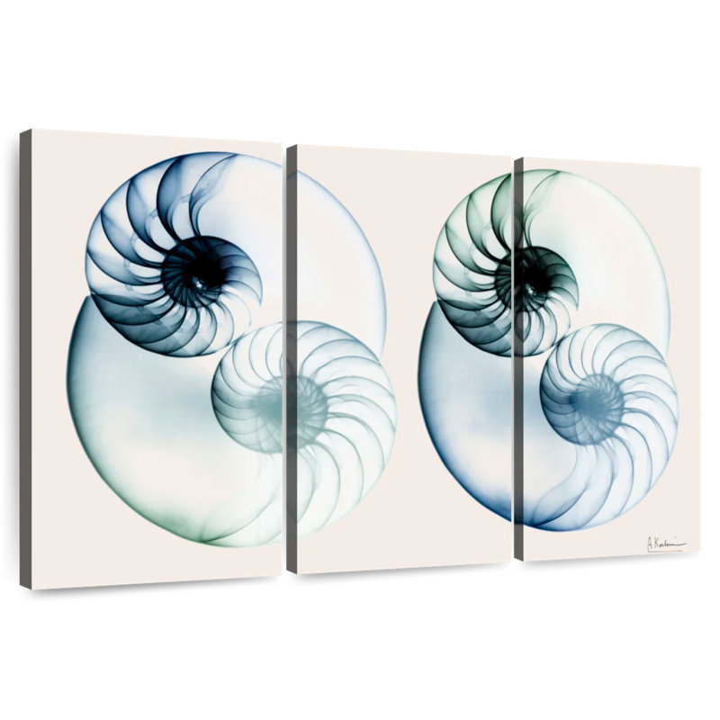Aletra Split Breeze I, H 42 po x l 65 po