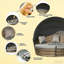 Lit de jour rond convertible 4 pièces pour extérieur, avec auvent rétractable, gris, coussins épais et rembourrés, pieds réglables pour terrain inégal, coussins épais et coussins décoratifs inclus, assemblage requis