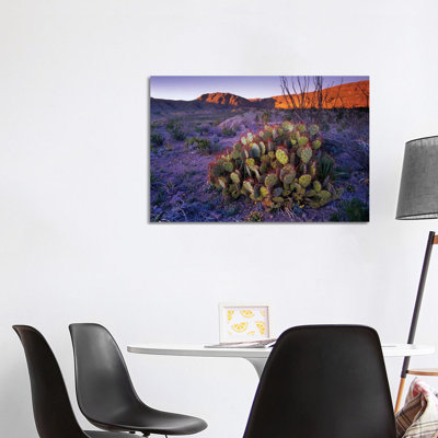 Opuntia in Chihuahuan Desert Landscape, Big Bend National Park, Texas 1 Piece Wrapped Canvas Wall Art