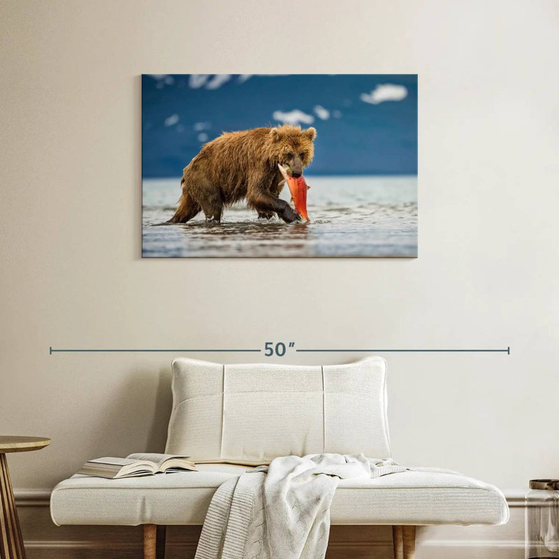 Grizzly de Brampt mangeant du saumon