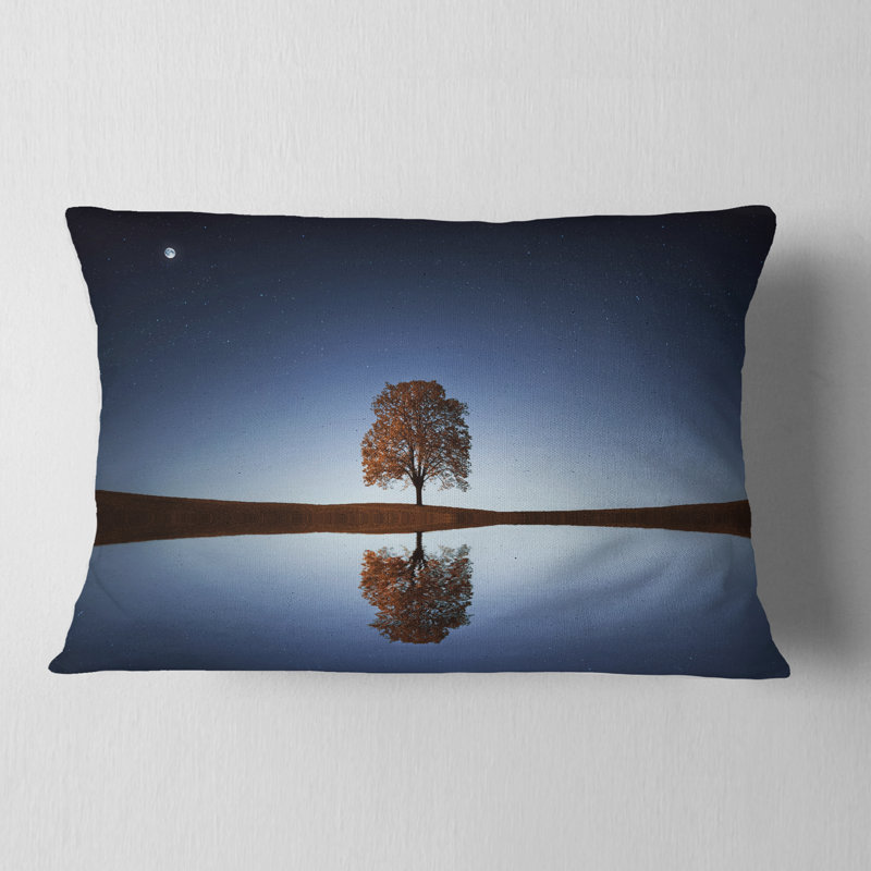 Coussin Schafer Designart