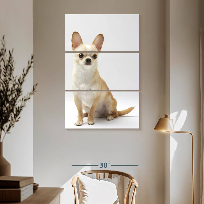Brampt Seated Chihuahua, 65" H x 42" W