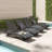 Blaise Outdoor Chaise Lounge Set-1593909541