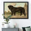 Mastiff - cadre photo, reproduction d'art sur toile-719610044-719610046