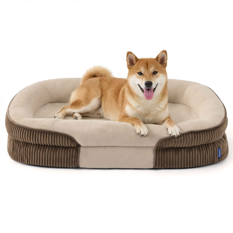 Lit orthopédique pour chien de taille moyenne, avec traversin ovale avec housse en molleton doux imperméable et lavable