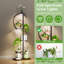 Plant Stand