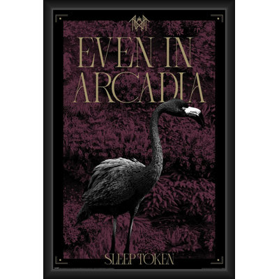  Jeton de sommeil sous licence officielle - affiche d'art Arcadia - 24 x 36 po - reproduction décorative - papier affiche - prêt à encadrer