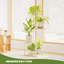 Plant Stand - Set of 4