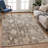 Machine Washable Indoor/Outdoor Chantille ACN2355 Traditional Rug-432467834