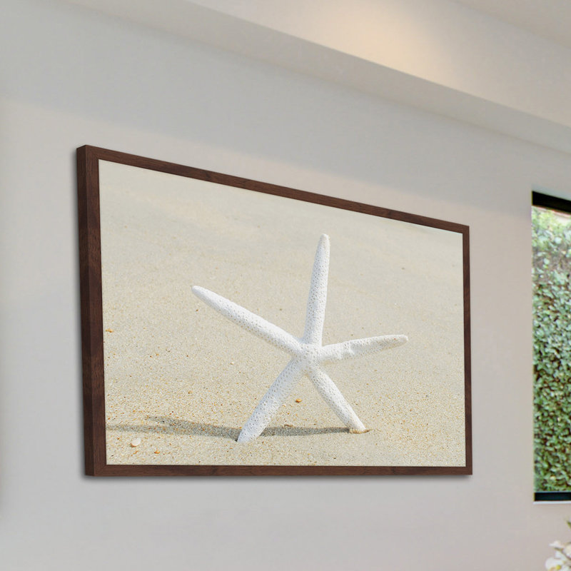 Sharon Kalstek - Single Picture Frame Print, 41cm H x 61cm W x 3.81cm D