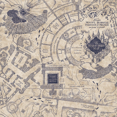 Rouleau de papier peint autocollant L 18,86 pi x l 18 po Harry Potter