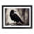 Black Framed selected