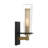Zanyia Steel Armed Sconce