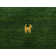 Handwoven Wool Gabbeh Uni Green Rug