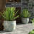 Nazar Handmade Ceramic / Porcelain Floor Vase