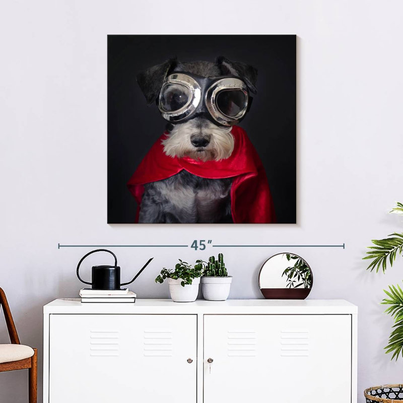 Crowle Superhero Schnauzer, 10" H x 10" W