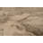 Trombley Floral Indoor Rug-358413992