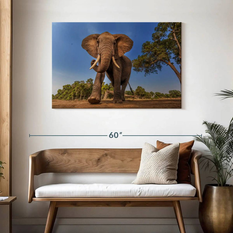 Brampt Playful African Elephant, 30" H x 45" W