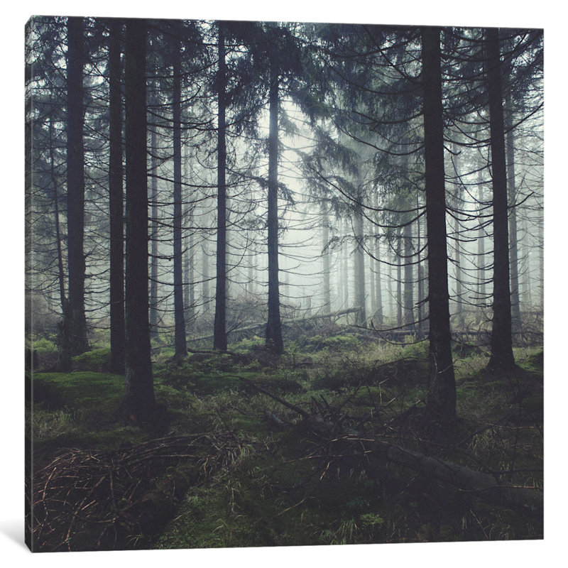 «Through The Trees», reproduction de photo sur toile tendue, H 18 po x l 18 po x P 1,5 po, Pas de tapis, Toile tendue