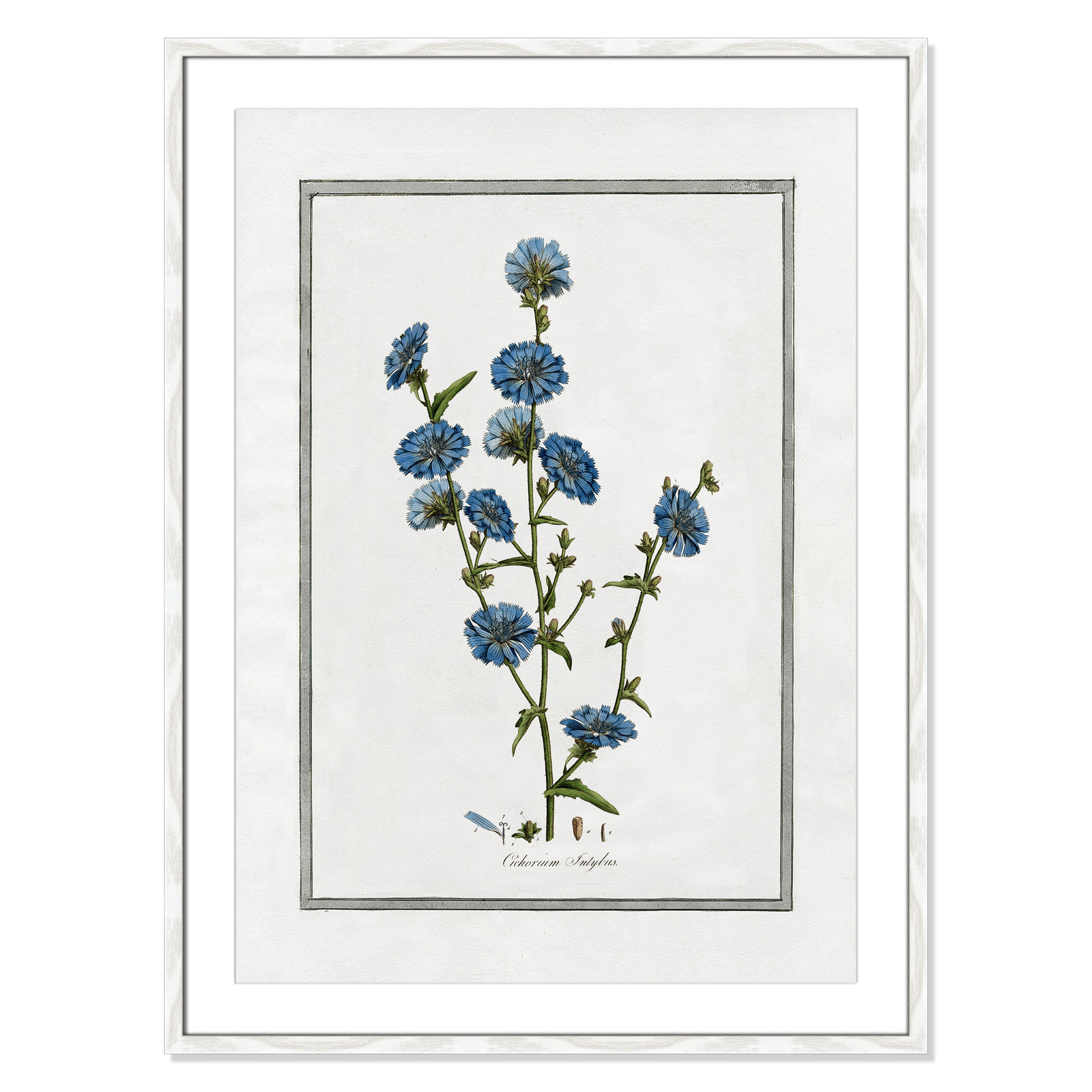 Colombe "Soft Botanical I" Print, 25.5" W x 35.5" H, White Framed