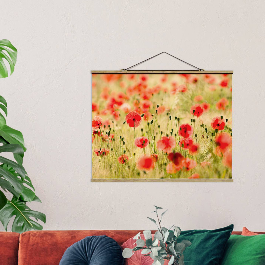 Wandbild Summer Poppies