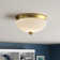 Reichert Glass Flush Mount