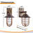 Bronze outdoor wall light with Motion sensor