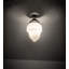 Prairieburg 1 - Light Flush Mount