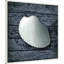 «Seashore Shells Navy I» par Marie Elaine Cusson, reproduction d'art sur toile encadrée-109469896