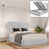 Light Silver