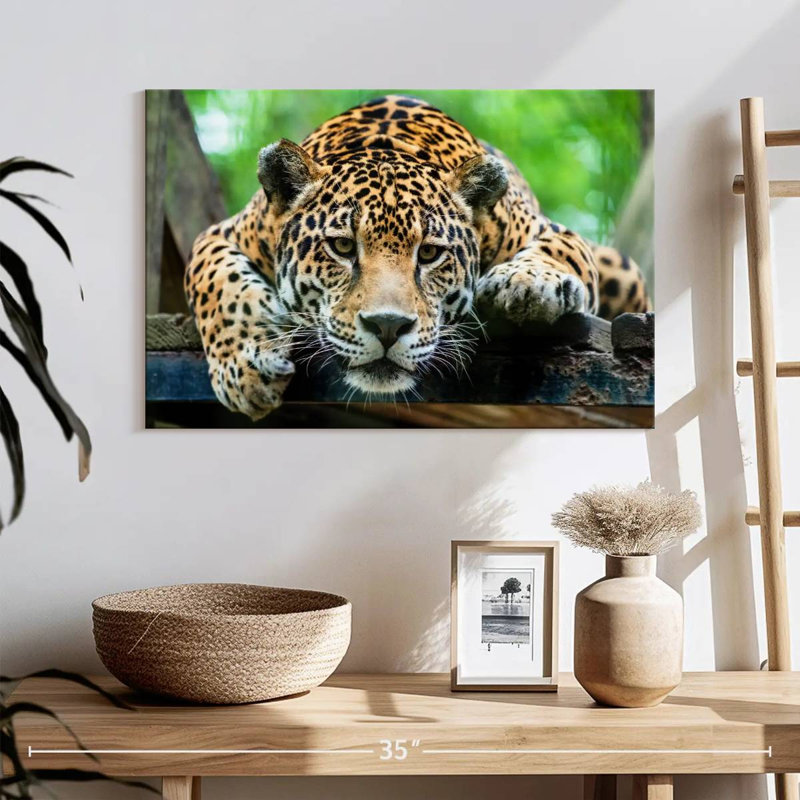 Crowle Lazy Leopard, H 16 po x l 24 po
