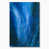 Wrapped Canvas