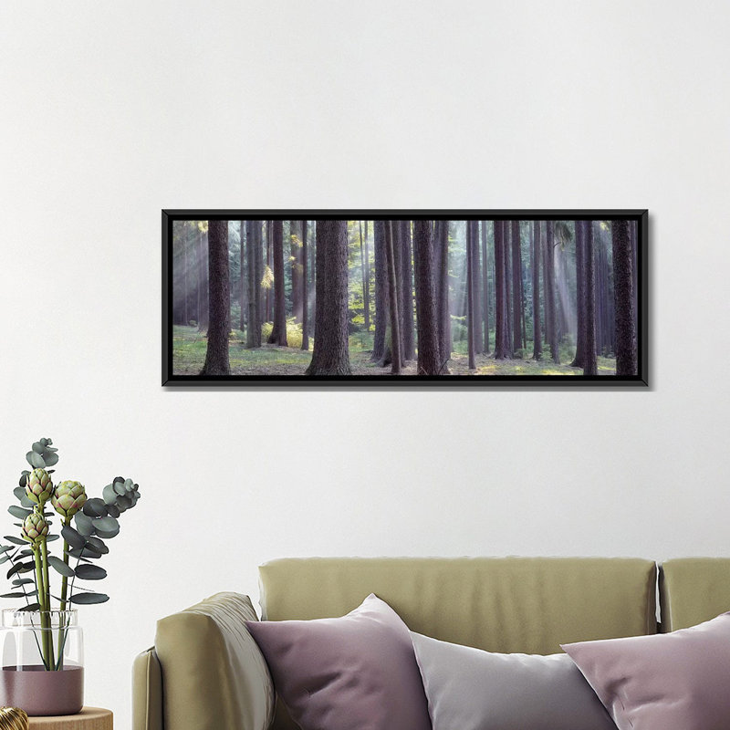 «Trees In The Forest, South Bohemia, République Tcheque # 2» par Panoramic Images - Reproduction giclée sur toile panoramique