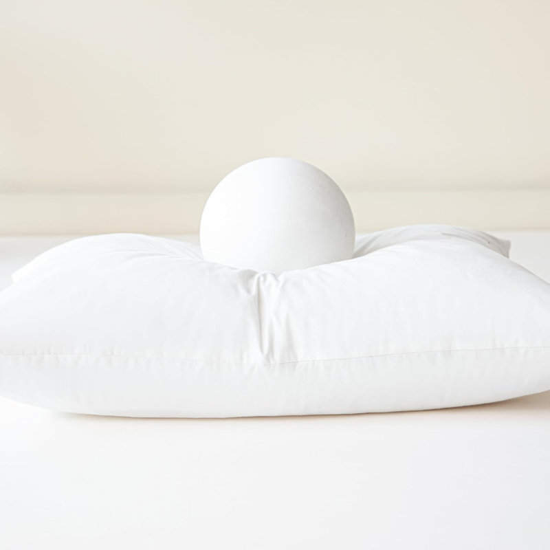 Ensemble de 2 oreillers blancs en plumes d'oie