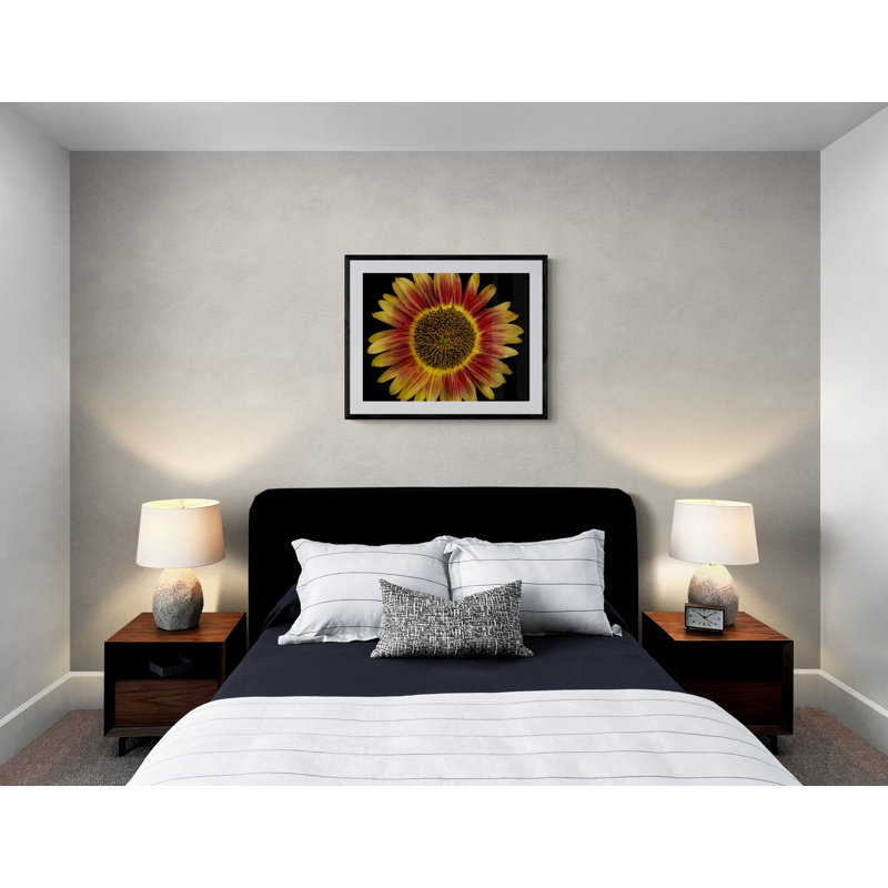 Candy Mountain Sunflower Print by Harold Davis, 24" H x 32" W, Wrapped Canvas