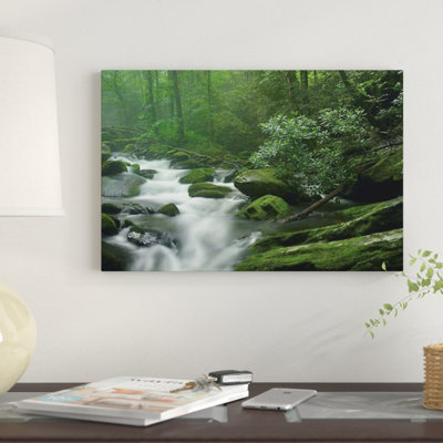 " Roaring Fork River Flowing Through Forest In Great Smoky Mountains National Park, Tennessee " by Tim Fitzharris