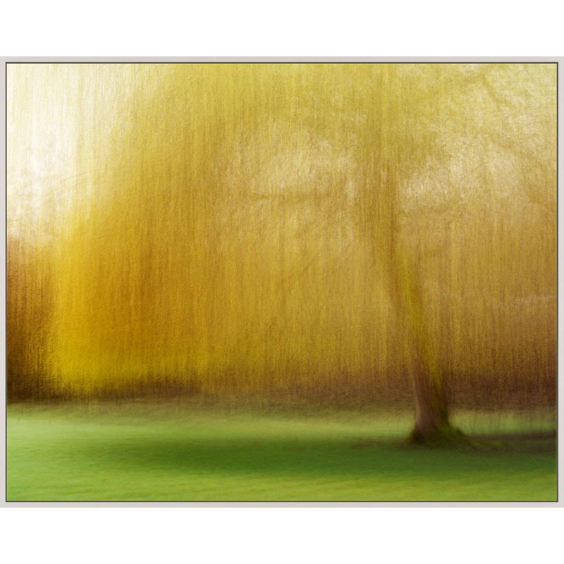 Spring Lingerie by Laura Zimmerman - Framed Wall Art, 40" H x 50" W, White Framed Canvas