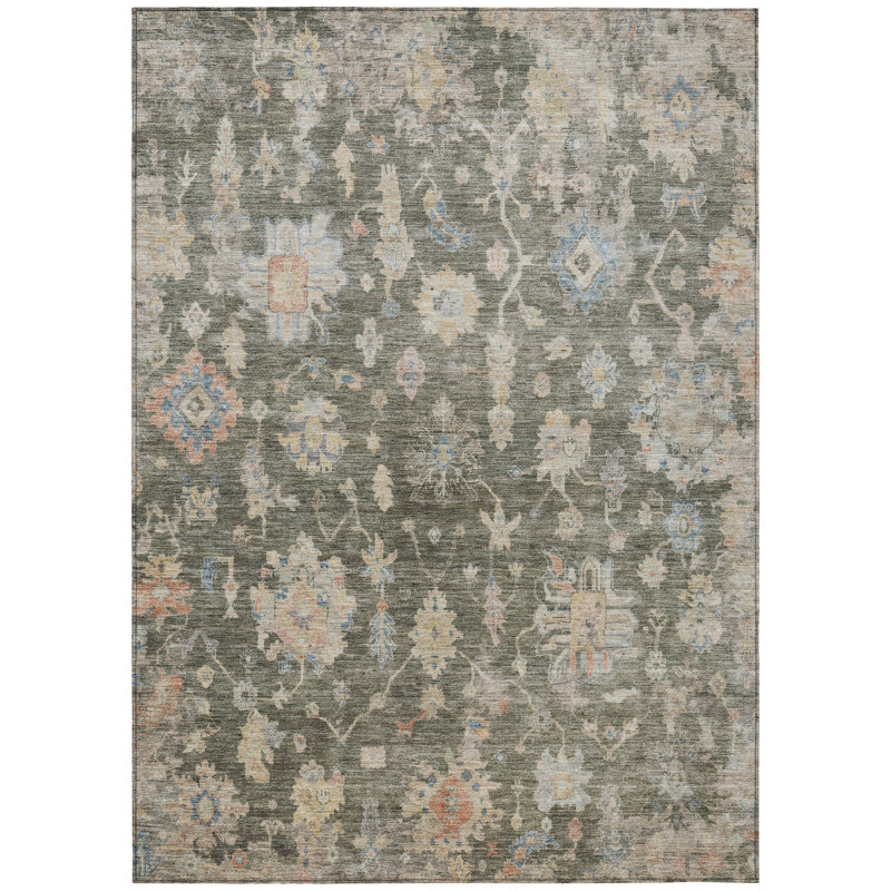 Machine Washable Indoor/Outdoor Francky ACN2355 Traditional Rug, Rectangle 3' x 5'