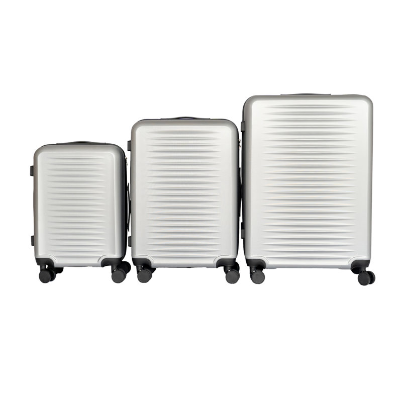 2025  silver suitcase
